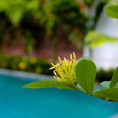Apartament Tam Coc International Friends Ninh Binh Zewnętrze zdjęcie